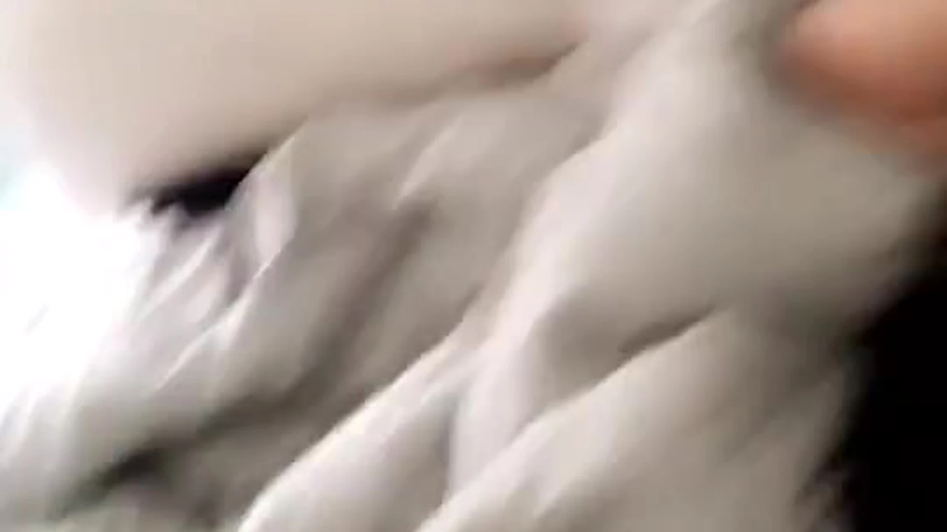 Dildo Lover Sophie Dee joi fullvideo
