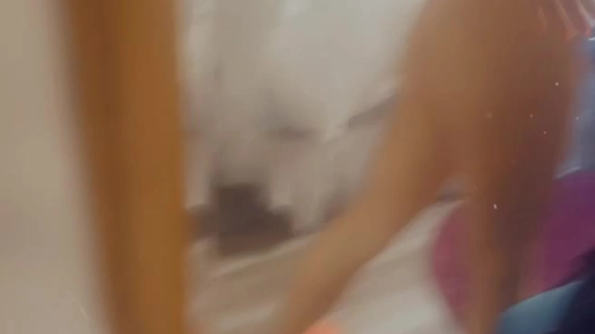 cumslut Homemade Kit Mercer onlyfans leaks pic Epic